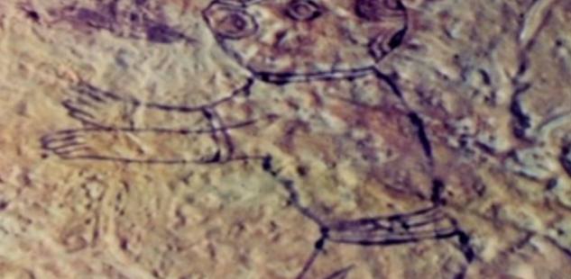 000-Year-Old "Airplane Rock Art" Found in Hidden Cave: Proof of Alien Civilization? The Truth Revealed! 000-Year-Old "Airplane Rock Art" Found in Hidden Cave: Proof of Alien Civilization? The Truth Revealed!